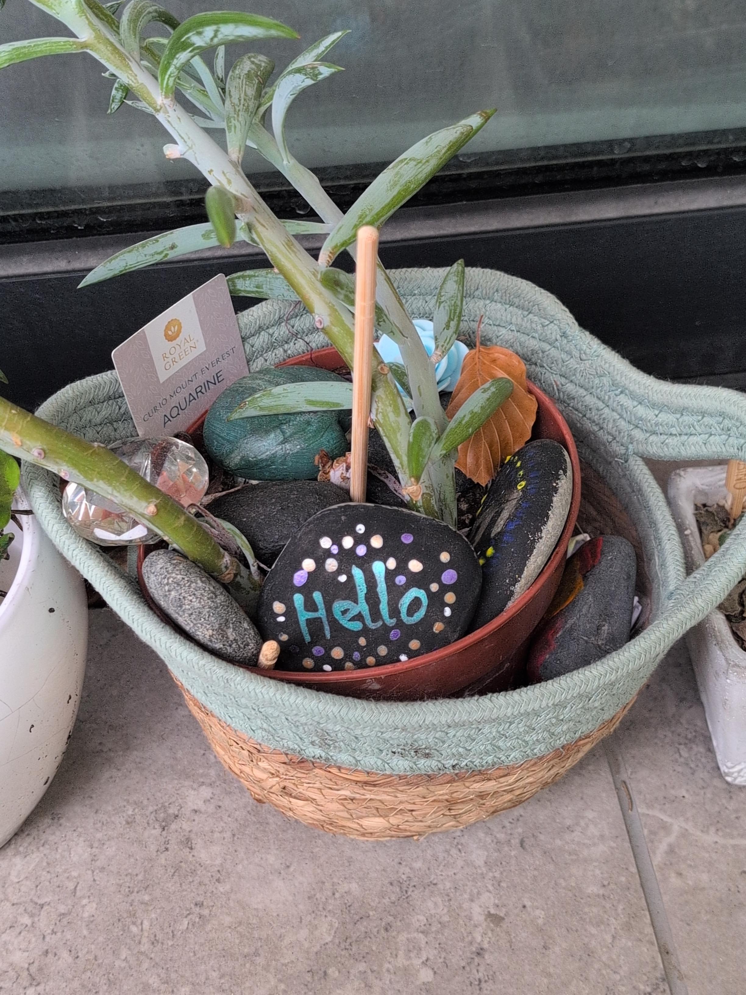 A small creative project featuring a painted Hello stone